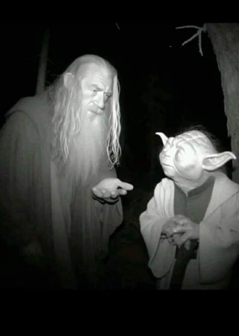 Gandalf Meme, Lords Of The Rings, Me And Who, Tom Delonge, All Jokes, Funny Pix, Taking Over The World, Gandalf, Very Funny Pictures