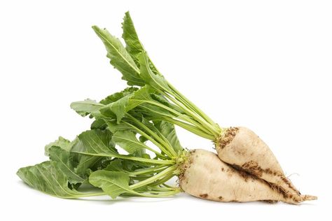 How To Cook Parsnips, Bad Sugar, Sugar Beets, Super Dry Skin, Pressed Powder Foundation, Sugar Beet, Hair Protein, Body Powder, Root Vegetables