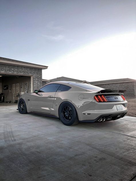 budget drag wheel and tire setup, check this out. | Page 2 | 2015+ S550 Mustang Forum (GT, EcoBoost, GT350, GT500, Bullitt) - Mustang6G.com Mustang Gt S550, Mustang 350 Gt, S550 Mustang Gt, Ecoboost Mustang, Grey Mustang, Mustang 5.0, 2018 Ford Mustang Gt, Mustang 5.0 Gt, Ford Mustang Shelby Gt500 2022