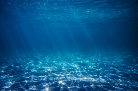 Sunlight on the ocean floor Water Curtain, Sea Floor, Ocean Floor, Summer Fragrance, On The Ocean, Vinyl Backdrops, Sea Theme, Studio Background, Types Of Photography