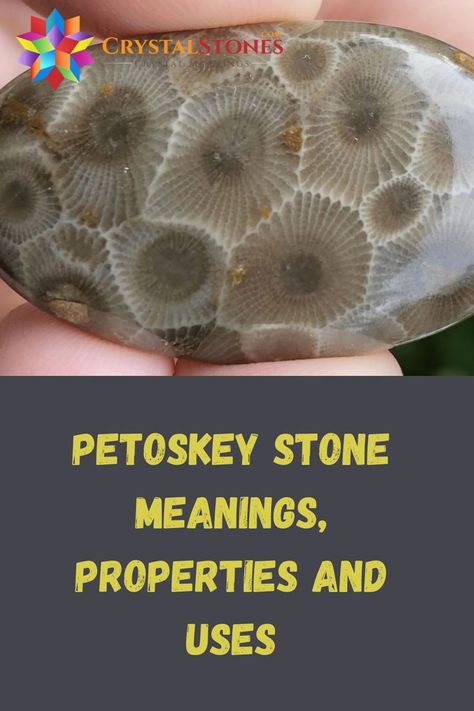 Witches Cabinet, Bad Traits, Petosky Stone, Stone Meanings, Into The Mystic, Petoskey Stone, Michigan Travel, Upper Peninsula, The Mystic