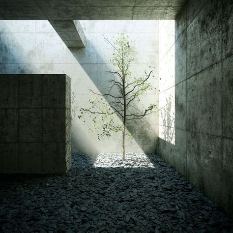 Tadao Ando long after mankind. Chichu Art Museum, Tadao Ando Architecture, Shadow Architecture, Concrete Architecture, Concrete Walls, 3d Architectural Visualization, Tadao Ando, Japanese Architect, Brutalist Architecture