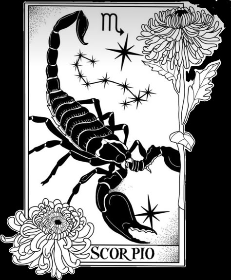 Scorpio Line Art, Scorpio Sketch Drawings, Scorpio Painting, Zodiac Drawings, Astrology Art Illustration, Scorpio Drawing, Rockabilly Tattoos, Pilot Tattoo, Karma Tattoo