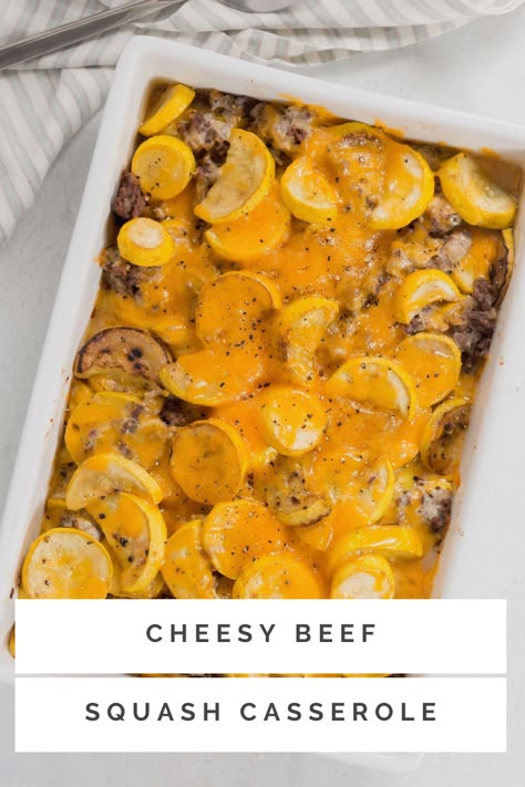 Squash Beef Casserole, Butternut Squash Ground Beef Casserole, Hamburger Squash Casserole Recipes, Ground Beef And Squash Casserole, Ground Meat And Squash Recipes, Squash Casserole With Ground Beef, Squash Casserole With Meat, Hamburger Meat And Squash Recipes, Beef Squash Recipes