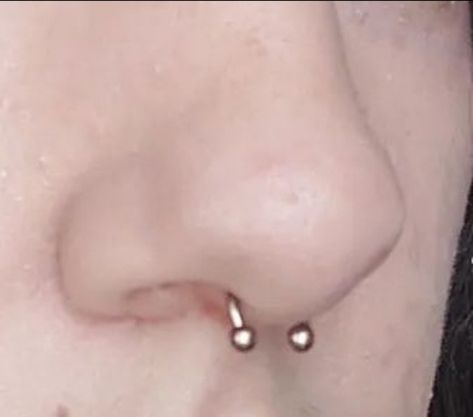 Septum On Different Noses, Mini Septum Piercing, Nose Piercing Septum Aesthetic, Septum And Eyebrow Piercing, Aesthetic Septum Piercing, Simple Septum Piercing, Small Septum Ring, Septum Aesthetic, Septum Piercing Aesthetic