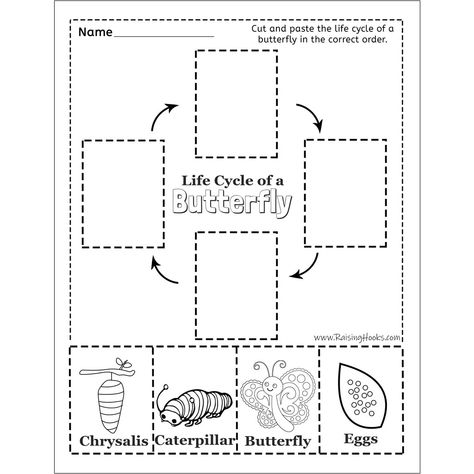 Butterfly Life Cycle Worksheet, Butterfly Life Cycle Kindergarten, Butterfly Life Cycle Preschool, Biking Quotes Cycling, Life Cycle Worksheet, Life Cycles Kindergarten, Life Cycles Preschool, Butterfly Life Cycle Activity, Human Life Cycle