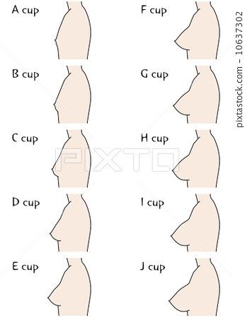 Body Type Drawing, Female Anatomy Reference, Body Types Women, Anatomy Tutorial, Body Reference Drawing, Female Anatomy, Concept Art Drawing, Figure Drawing Reference, Body Drawing