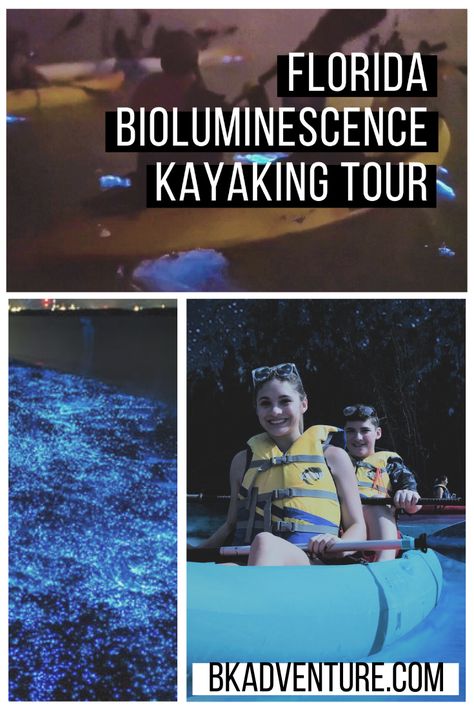 Indian River Lagoon Florida, Bioluminescence Florida, Things To Do Near Orlando, Great Canyon, Animals Under The Sea, Orlando Disney World, Granola Life, Orlando Florida Vacation, Indian River Lagoon