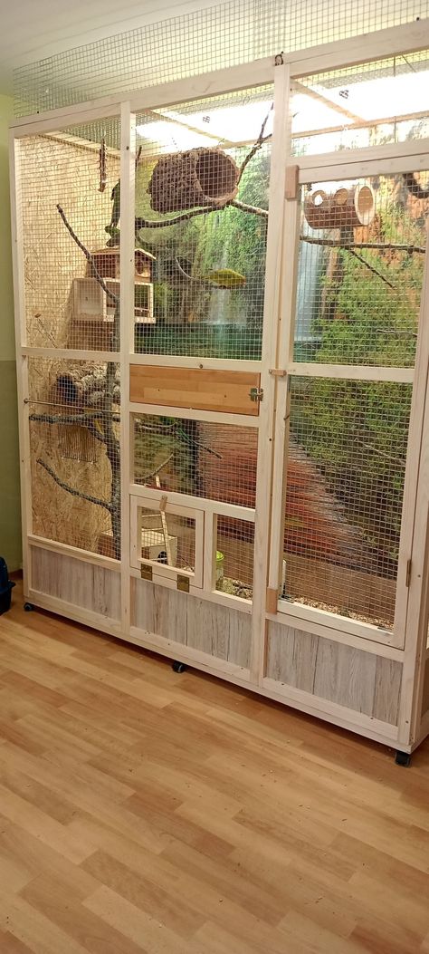 Aviary Room Indoor, Indoor Bird Room, Outdoor Parrot Cage, Diy Indoor Bird Cage, Pet Bird Enclosure, Bird Atrium In House, Homemade Bird Cage Ideas, Bird Enclosure Indoor, Indoor Parrot Aviary Ideas