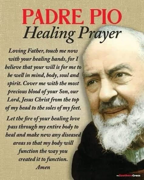 Padre Pio Prayer, Catholic Saints Prayers, Prayer For The Sick, Catholic Prayers Daily, St Padre Pio, Prayers Of Encouragement, Catholic Beliefs, Healing Prayer, Deliverance Prayers