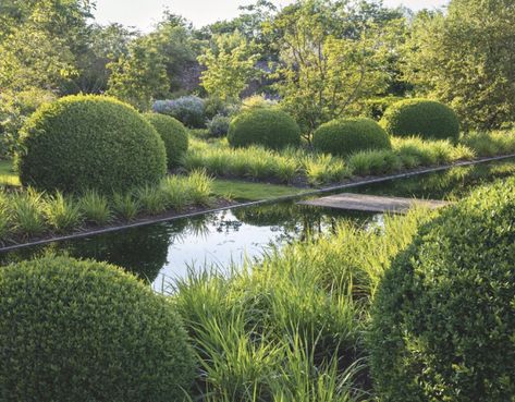 Tom Stuart Smith, Garden Topiary, Victorian Renovation, Outdoor Fireplace Designs, Garden Water Feature, Garden Chic, Topiary Garden, Planting Design, Park Landscape