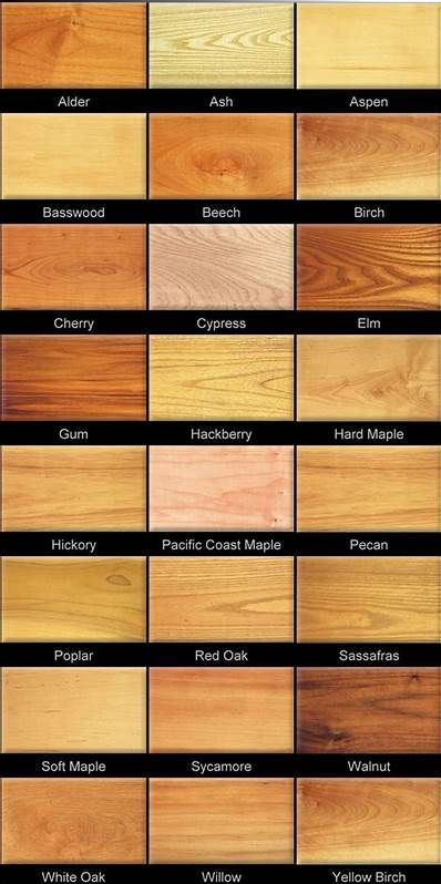 Different Kinds Of Wood, Church Pew Bench, Pew Bench, Types Of Oranges, Type Of Wood, Church Pew, Maple Pecan, Orange Wood, Different Types Of Wood