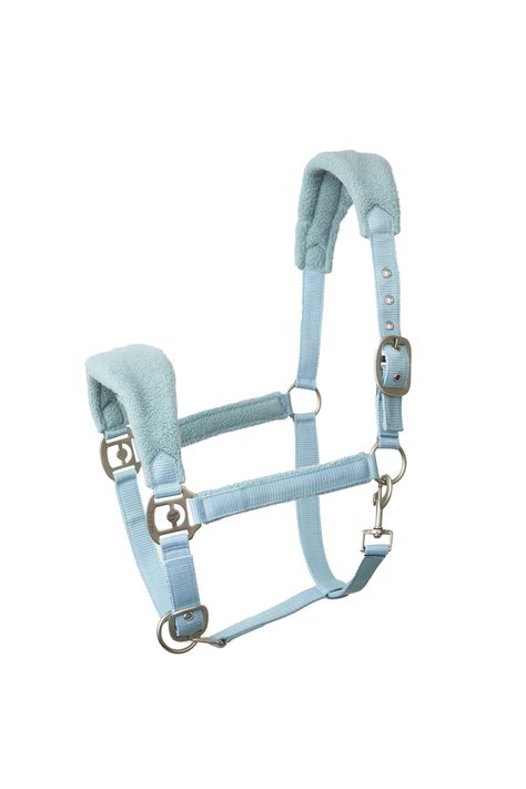 Tack Store, Western Horse Tack, Horse Equipment, Western Horse, Horse Tack, A Horse, Horses, Sandals