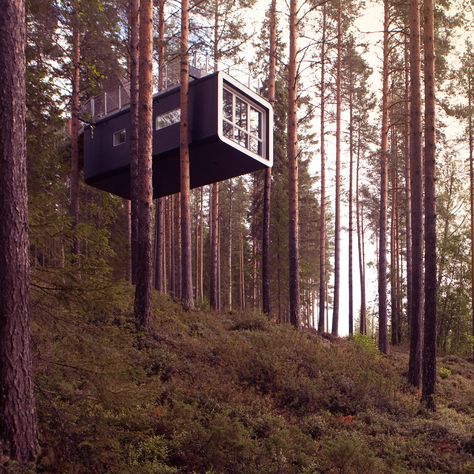 Seven Scandinavian architects have now built treehouses for Sweden's Treehotel, including a bird's nest, a mirrored cube and Snøhetta's charred timber cabin Treehouse Masters, Treehouse Hotel, Tree House Kids, Cool Places, Tree House Designs, Design Hotel, Container House, Scandinavia, Modern Architecture