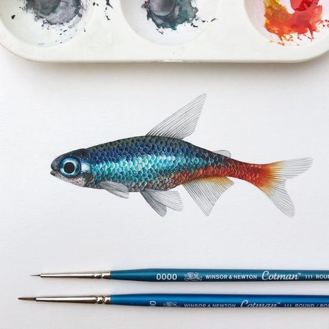 Neon Tetra Fish, Tetra Fish, Neon Tetra, Realistic Watercolor, Fish Drawing, Watercolor Blog, Animal Illustration Art, Watercolor Fish, Fish Drawings