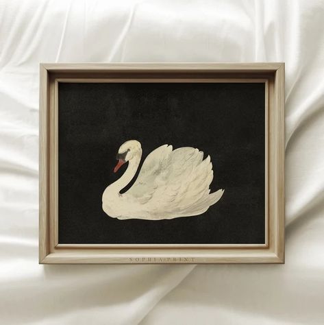 SophiaPrint - Etsy Swan Watercolor, Swan Drawing, Swan Art, Swan Painting, Vintage Swan, Swans Art, Swan Print, Grand Art Mural, Watercolor Printable