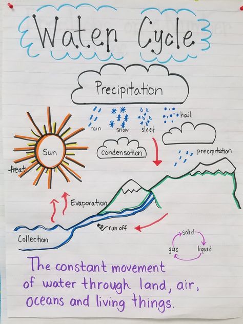 The water cycle Water Cycle Notes Aesthetic, The Water Cycle For Kids, Water Cycle Poster Ideas, Water Cycle Notes, Easy Water Cycle Drawing, Water Cycle Drawing, Water Cycle Project Poster, Science Project Water Cycle, Watercycle Kids Drawing