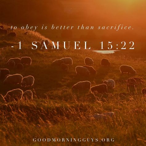 To obey is better than sacrifice. 1 Samuel 15:22 1 Samuel 15:22, 1 Samuel 15, Sunday Scripture, Motivational Scriptures, Bible Mapping, Gods Guidance, Servant Leadership, 1 Samuel, Beautiful Scripture