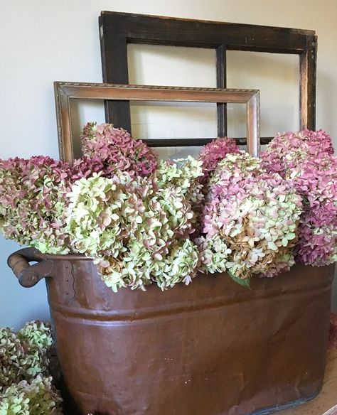 Hydrangeas in copper boiler with vintage frame and window. Autumn color perfection! Decorating With Old Washtubs, Copper Wash Tub Decor Ideas, Wash Tub Decor Ideas, Copper Boiler Decor Ideas Living Room, Copper Bucket Decor Ideas, Antique Copper Boiler Decor Ideas, Copper Boiler Decor Ideas, Silver Plate Decor, Window Autumn