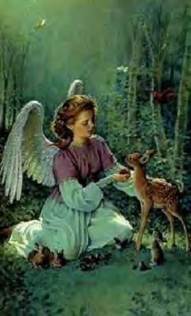 I Believe In Angels, Doreen Virtue, Angels Among Us, Angels In Heaven, Angel Pictures, Guardian Angels, Baby Deer, Angels And Demons, Fairy Angel