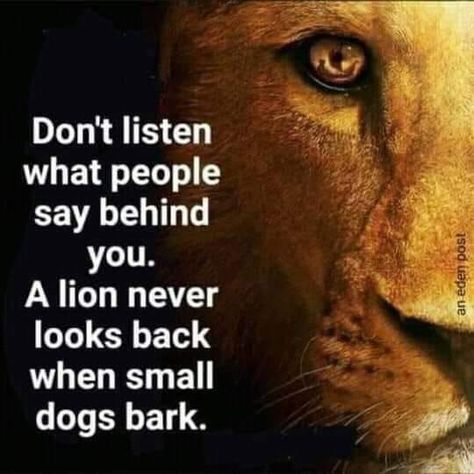 Don't listen to what people say behind you. A lion never looks back when a small dog barks. Leo Zodiac Quotes, Quotes About Haters, Lion Quotes, King Quotes, Father God, Quotes For Life, Inspirational Quotes About Success, Savage Quotes, Warrior Quotes