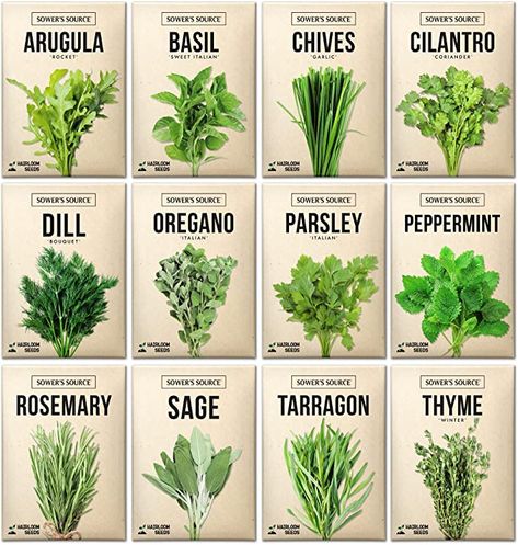 Amazon.com : Herb Seeds For Planting – 12 Non-GMO Herb Garden Seeds for Planting Herbs: Basil Seeds, Dill, Chives, Oregano, Sage, Peppermint, Cilantro, Thyme, Rosemary, Tarragon, Parsley, Arugula : Patio, Lawn & Garden Propagate Basil, Growing Parsley, Banana Seeds, Outdoor Herb Garden, Sage Plant, Basil Seeds, Garden Kits, Herb Seeds, Heirloom Seeds