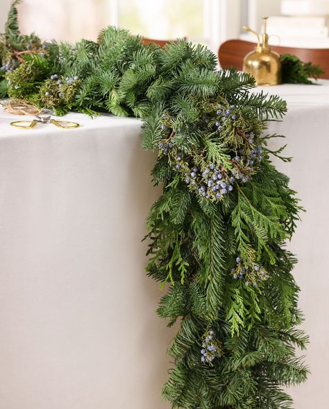 Fresh Evergreens and Juniper Berry Christmas Foliage | Balsam Hill Christmas Foliage, Christmas Wreaths & Garlands, Artificial Christmas Trees, Juniper Berries, Berry Garland, Fresh Christmas Trees, Juniper Berry, Branch Decor, Wreaths And Garlands