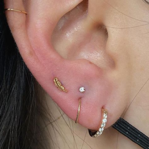 Sacred Gold on Instagram: “Some cute lobe additions by our talented Tracey @piercingsbytracey ✨Tiny yellow gold feather in a new third lobe and a Diamond prongset to…” Stacked Lobe, Ear Lobe Piercings, Gold Feathers, Lobe Piercing, Piercing Jewelry, Tattoos And Piercings, Earings Piercings, Ear Piercings, Body Art