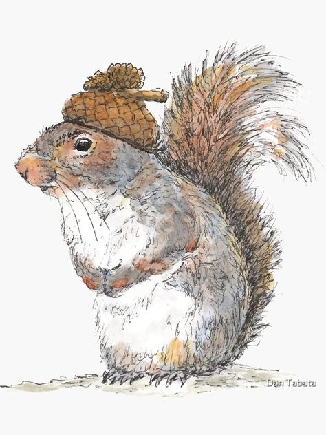 Drawing Of A Squirrel, Acorn Drawing, Acorn Hat, Squirrel Painting, Squirrel Illustration, Squirrel Art, Hat Art, A Squirrel, Pen And Watercolor