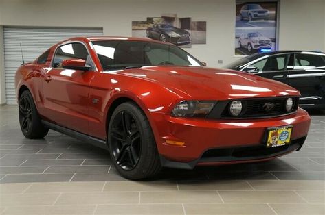 2010 Mustang Gt, 2010 Mustang, 2010 Ford Mustang, Mustang For Sale, Ford Mustang For Sale, Used Engines, Automatic Cars, Car Find, Ford Mustang Gt