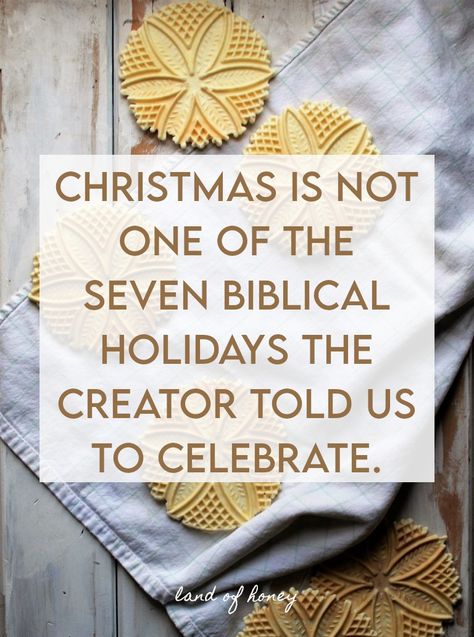 christmas is not one of the seven biblical holidays the creator told us to celebrate. | Land of Honey Biblical Christmas Traditions, Biblical Holidays 2023, Not Celebrating Christmas, Jewish Holiday Calendar, Hebrew Holidays, Biblical Holidays, Biblical Christmas, Jewish Christmas, Biblical Feasts