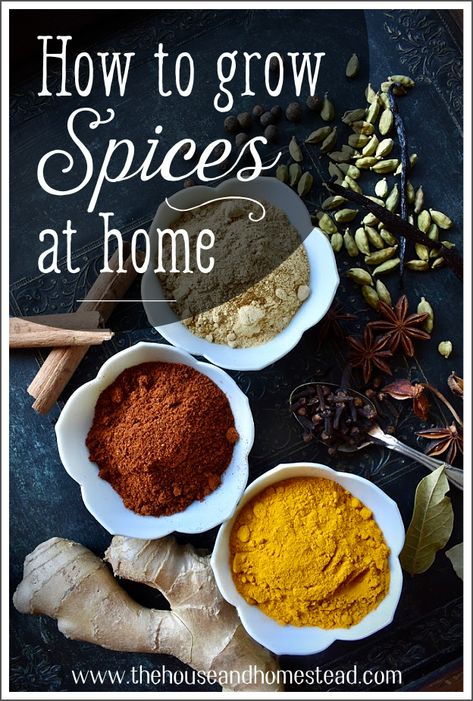 How to Grow Spices At Home | The House & Homestead Spice Garden, Homegrown Food, Homesteading Diy, Homestead Farm, Herb Gardens, Compost Tea, Homesteading Skills, Living Off The Land, Mini Farm