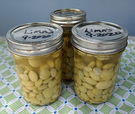 Home Canning Lima Beans with Recipe Canning Fresh Butter Beans, Canning Fresh Lima Beans, Canning Lima Beans, Canning Butter Beans, Canning Methods, Lima Beans And Ham, Cooking Lima Beans, Canning Green Tomatoes, Freezing Veggies