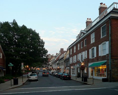 Princeton Nj Aesthetic, Point Pleasant Nj, Princeton Nj, Princeton New Jersey Houses, Picturesque Small Towns, Princeton New Jersey, Small Towns Usa, New York Pictures, Dream School