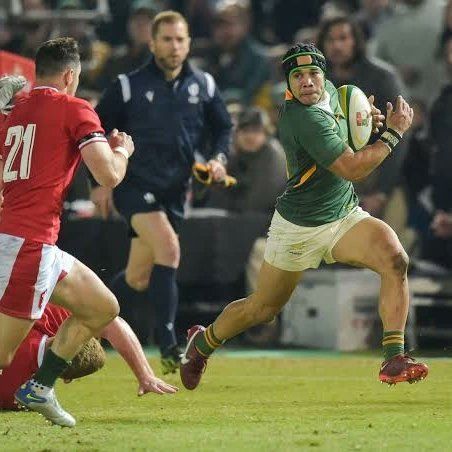 Cheslin Kolbe, Rees Zammit, Springbok Rugby, Rugby Boys, Rugby Sport, Rugby Men, Rugby Team, Rugby Players, Rugby League