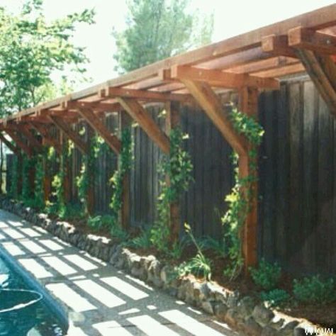 make the perfect fence screening. see more ideas very nearly Fences, Fence screening and Screens. #gardenlatticescreen Deck Staining, Privacy Fence Landscaping, Wood Restoration, Wood Staining, Deck Cleaning, Small Pergola, Driveway Landscaping, Building A Pergola, Pergola Design