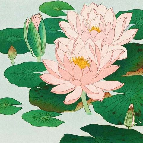 Lily Poster, Illustration Manga, Ohara Koson, Anime Illustration, Japanese Art Prints, Water Lilly, Japanese Wall Art, Art Print Collection, Art Japonais