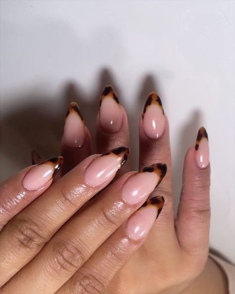 Tortoise Shell Nails French Tip Almond, Almond Different Color Nails, Nail Tortoise Shell, Tortoise Almond Nail Designs, Tortoise Tip Almond Nails, Tortoise Nails Design French, Tortoise Tips Nails, Tortoiseshell Almond Nails, Tortoise Shell Tips