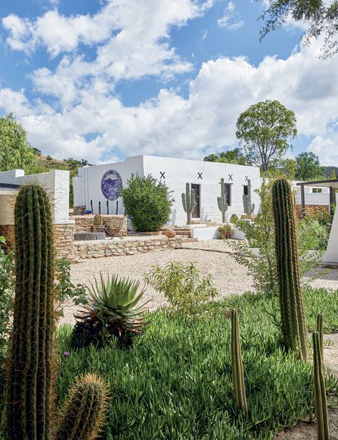 Karoo Architecture, Karoo Farmhouse, Bower Birds, Nieu Bethesda, Garden Homes, Arched Cabin, Eco Cabin, Enchanting Garden, Mid Century Aesthetic