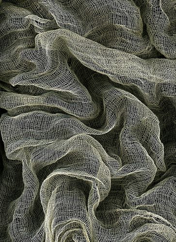 Topography Map, Textil Design, Texture Inspiration, Textile Texture, Materials And Textures, Fabric Texture, Surface Textures, Color Textures, Texture Art