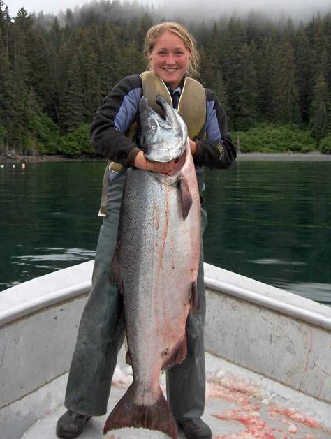 Alaskan king salmon Fishing In Canada, Fly Fishing For Beginners, Alaska Fishing, King Salmon, Fishing Photos, Fishing For Beginners, Fishing Photography, Fishing Pictures, Fishing Techniques