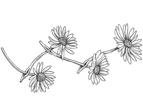 Flowers                                                                                                                                                      More Daisy Chain Tattoo, Tattoo Sister, Chain Tattoo, Daisy Tattoo, Trendy Tattoo, Sister Tattoos, Trendy Tattoos, Daisy Chain, Tiny Tattoos