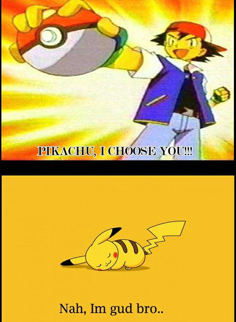 Pikachu-pokemon-meme Pikachu Funny, Game Pics, Detective Pikachu, Cartoon Video Games, Gotta Catch Them All, Video Game Anime, Pokémon Master, Pokemon Memes, I Choose You