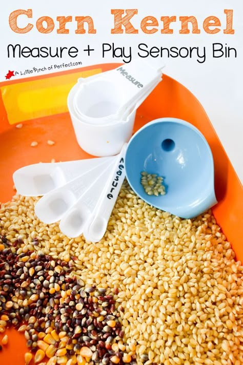 Corn Kernel Measure and Play Sensory Bin (measuring, pouring, counting, graphing, and weighing, fall kids activity, preschool, kindergarten). Popcorn Science, Fall Science, Activity Preschool, Preschool Fall, Sensory Ideas, Fall Lessons, Fall Activity, Thanksgiving Preschool, Autumn Activities For Kids