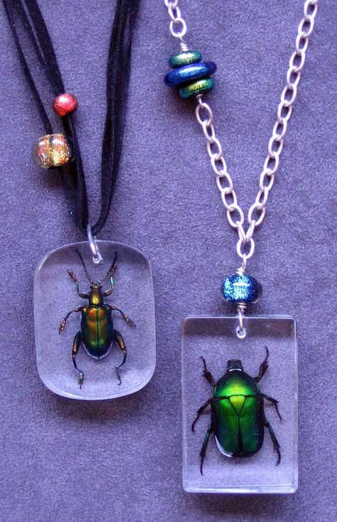 https://flic.kr/p/gefQq | Insect Resin Necklace | I picked up these beetles in resin over in Thailand. They were originally key chains. Beetles are good luck in many parts of Asia. I had these beetle necklaces for sale in my etsy store. Resin Insects, Resin Insect Jewelry, Real Insect Jewelry, Seni Resin, Insect Taxidermy, Nature-inspired Resin Pendant Necklace, Insect Jewelry Inspire Uplift ⭐, Resin Clay, Resin Jewelry Making