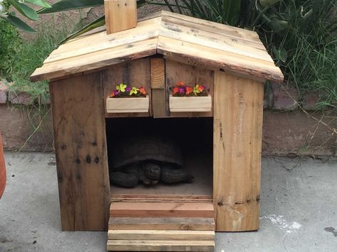 Nice Tortoise House & Garden Side Table  #garden #pallethut #recyclingwoodpallets #sidetable #tortoise I just needed a side table for my backyard and somewhere for my tortoise to sleep. So I made these two styles from repurposed wooden pallets.   ... Pallet Upcycle, Pallet Picnic Tables, Russian Tortoise Diet, Chicken Coop Pallets, Pallet Side Table, Turtle Stuff, Table Palette, Repurpose Pallets, Tortoise House