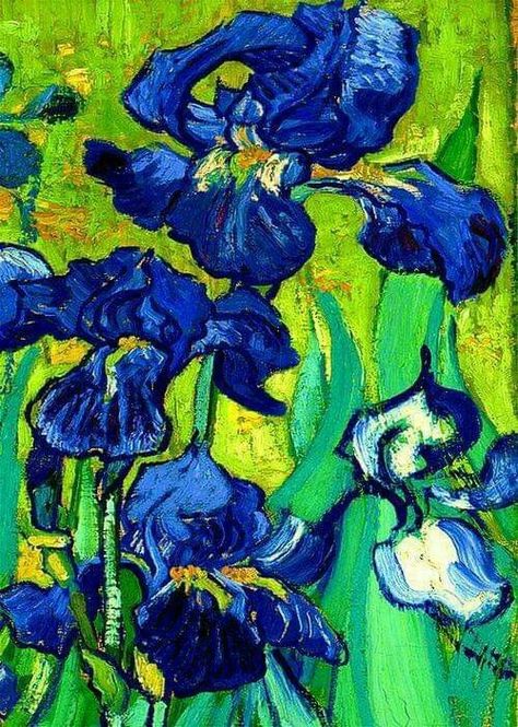 Artist Van Gogh, Van Gogh Irises, Vincent Van Gogh Art, Vincent Van Gogh Paintings, Arte Van Gogh, Van Gogh Paintings, Art Van, Van Gogh Art, 수채화 그림