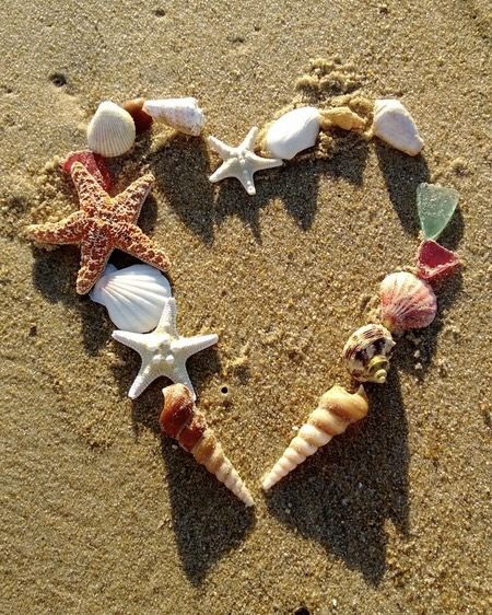 seashell heart. beach aesthetic. seashells. Seasons In The Sun, Happy Weekend Quotes, Modge Podge, Shell Beach, Visual Poetry, + Core + Aesthetic, Beach Aesthetic, Happy Weekend, Myrtle Beach