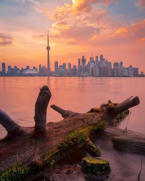 📸@tylersjourney -  TRANQUILITY 🌸 Where do you go to relax? - #torontoforyou Toronto Sunset, Focal Points, Dream City, Monument Valley, Places Ive Been, Focal Point, New York Skyline, Cityscape, Toronto