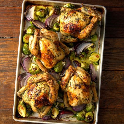 Herb-Brined Cornish Game Hens Recipe | Taste of Home Cornish Hen Brine, Game Hen Recipes, Cornish Game Hen Recipes, Cornish Game Hens, Cornish Hen Recipe, Game Hens, Cornish Game Hen, Sheet Pan Dinners Chicken, Game Hen